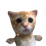 @EMMYSCH4RMXO