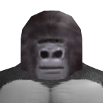@amadito9999