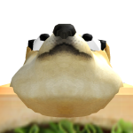 @syou111