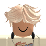 @Misterbugxroblox