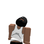 @Themainrobloxian196