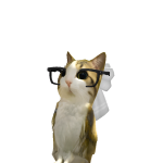 @KiTtYcAtfatratty