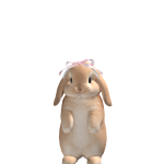 @billieeeil1sh