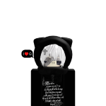 @VictorBR_YT1