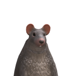 @Slaapkamer100