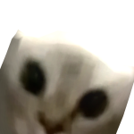 @REAL_CoNeZz