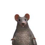 whitly