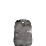 @Jeaylaa