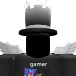 @Toyrobloxgamer1234