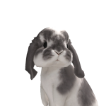 @ttba8yyy