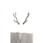@vessod