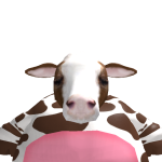 @Yerlocalpeanoot