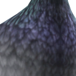 DIMENSION_XS