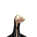 @Unlock3dKey