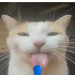 @chickendipper2014