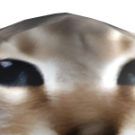 @milkkoffee_cat