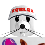 @maxcanskate