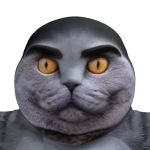 @dfxhbjfmhcdrfgnc