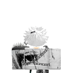 @roblox_user_3423163516