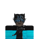 @roblox_user_3345174069