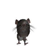 @Cloudyxdayszsz
