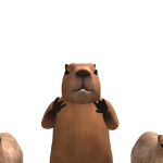 @JoanG100