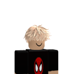 simmmm