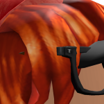 @T3DDYTH4TG1RLST4R