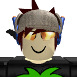 @robloxisweird09