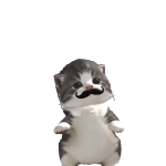 @pogisimatmatl