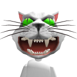@takithecat