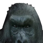 AzGamingStar's avatar