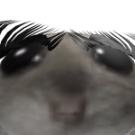 @djzozo100