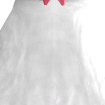 @SlimeShi_Rajab4