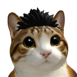 @ttyfhyff