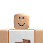 @filiblox55