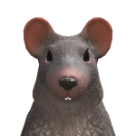 @swiftyjr6850