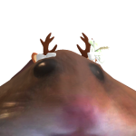 @robloxtsuky