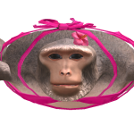 @KermitThe_Frog319