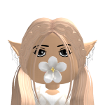 @fizzerplayzrobloxx