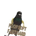 @sda1013