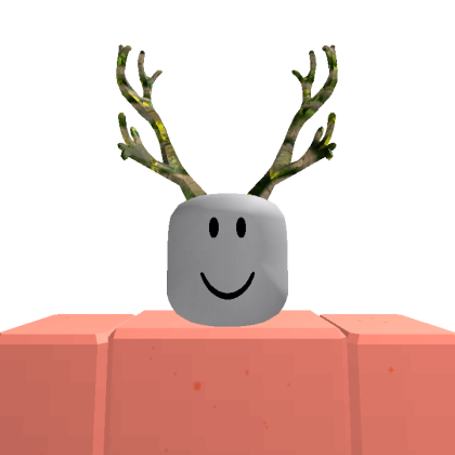 Roblox profile picture for @Ages
