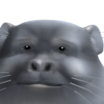 @YukeBPD
