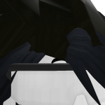 @roblox_user_1991024961