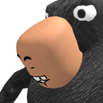 NickVarano