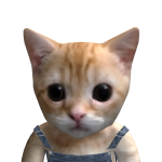 @Hajun70