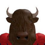 @Brooksthebison