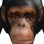 @Joetoshwor