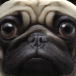 @4fooIs