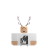 Lord_37